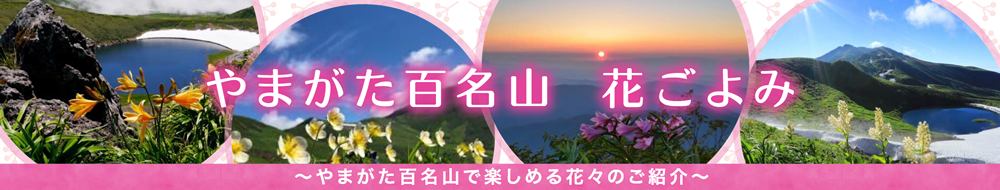 花ごよみ〜やまがた百名山で楽しめる花々のご紹介〜