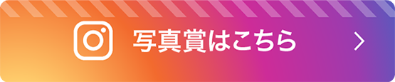 写真賞はこちら