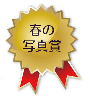 春の写真賞