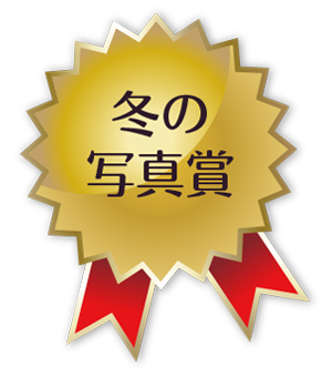 冬の写真賞