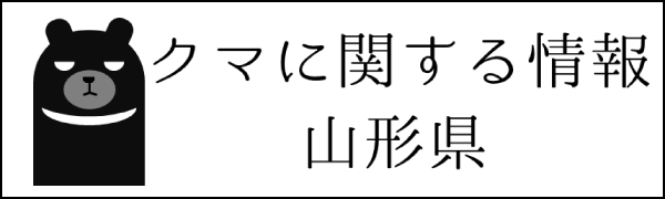 クマに関する情報