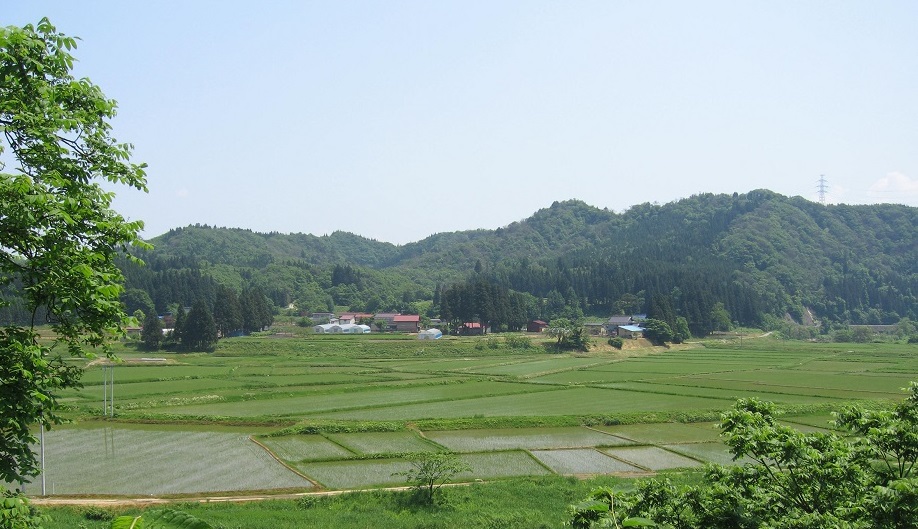 taiheizan 米太平山｜やまがた山（山形県山岳情報ポータルサイト）